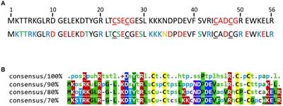 Characterization of the zinc finger μ-protein HVO_0758 from Haloferax volcanii: biological roles, zinc binding, and NMR solution structure